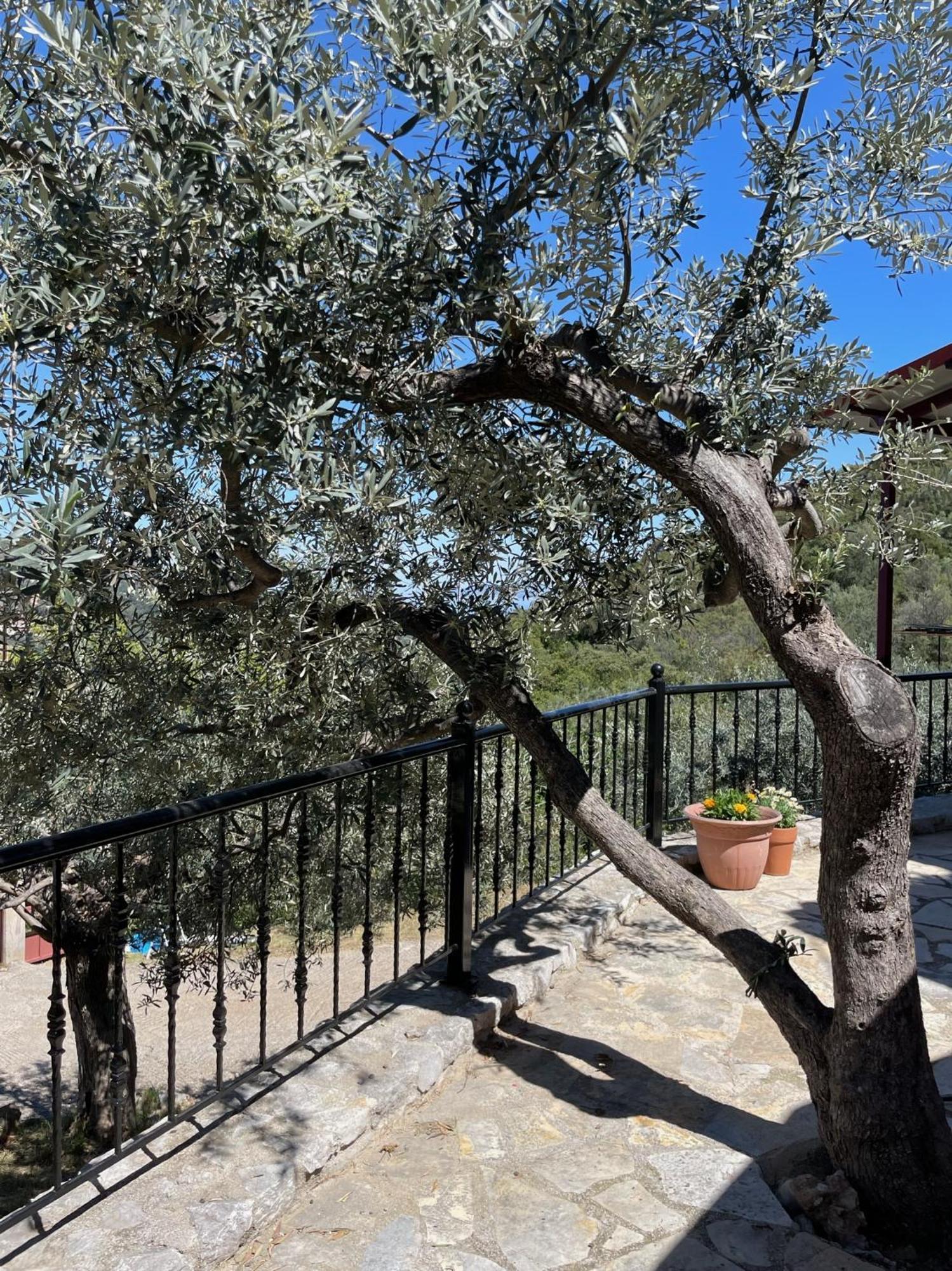 Orange Apartment Epano Epidhavros
