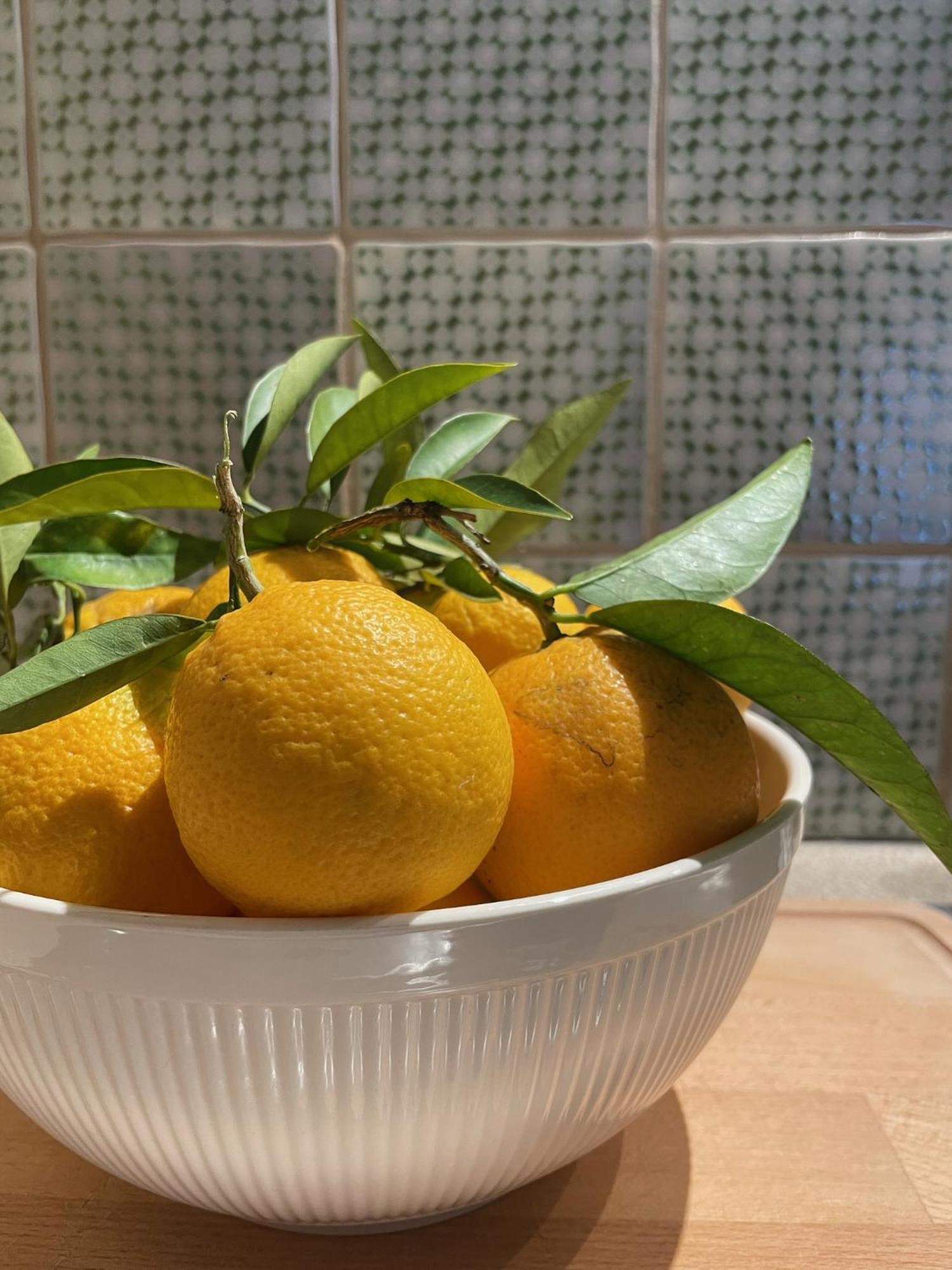 Apartment Orange *